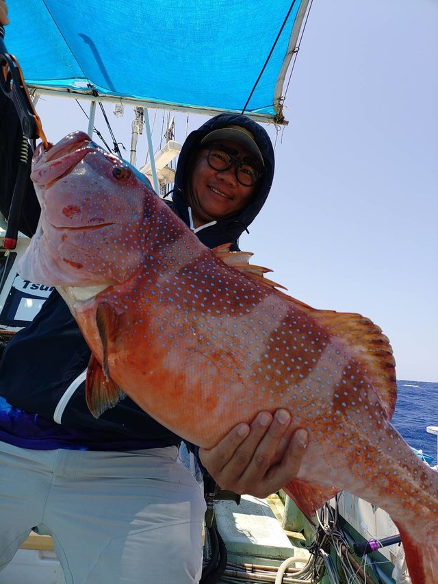 アカジン(スジアラ)