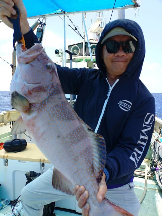 ミーバイ(クエ)