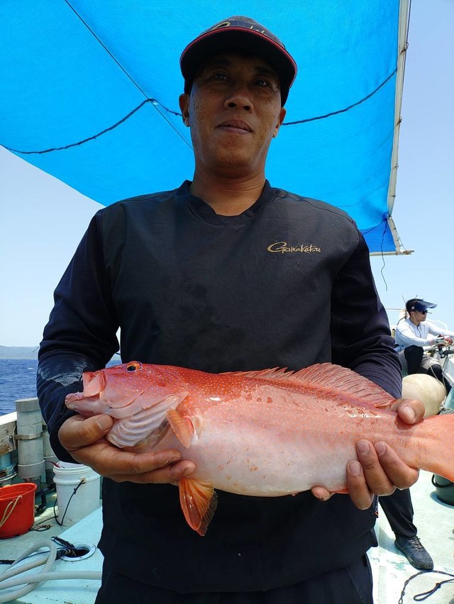 アカジン(スジアラ)