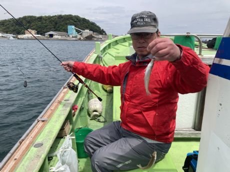 シロギス