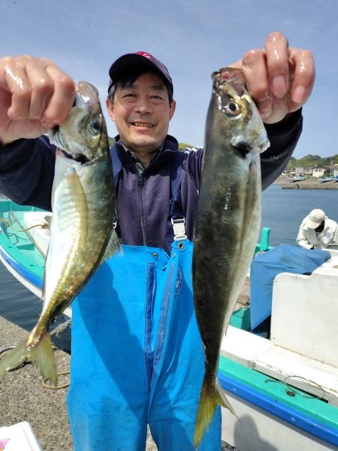 アジ(マアジ)
