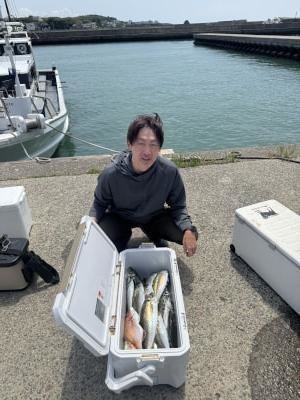 コダイ(マダイ)・マアジ