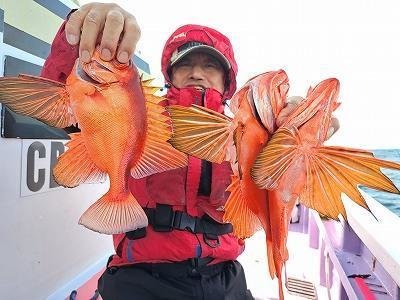 キントキ(チカメキントキ)