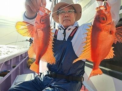 キントキ(チカメキントキ)