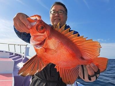 キントキ(チカメキントキ)