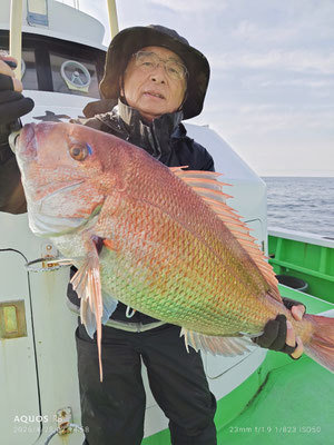 マダイ