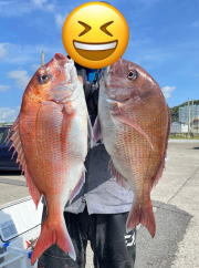 マダイ
