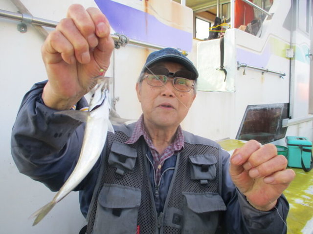 アジ(マアジ)