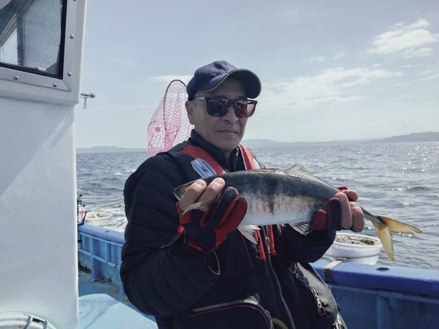 アジ(マアジ)