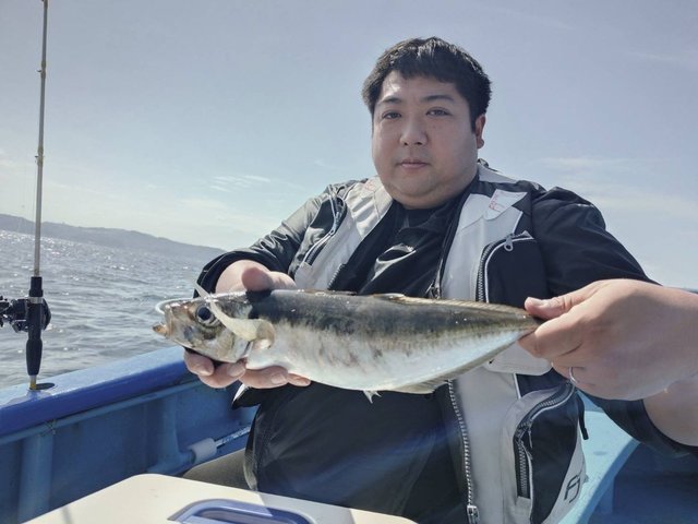 アジ(マアジ)