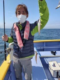 シロギス
