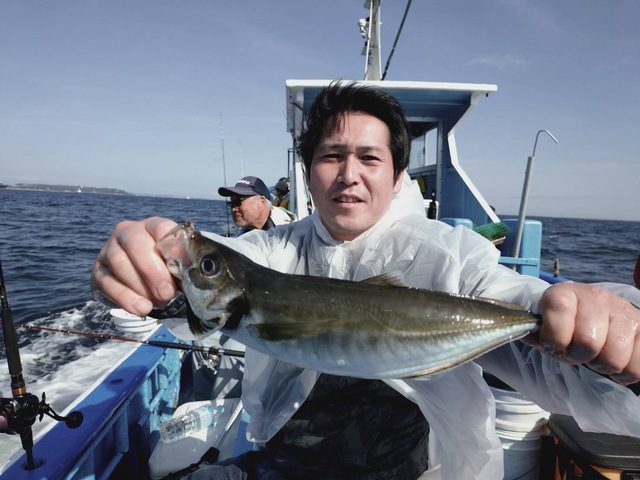 アジ(マアジ)