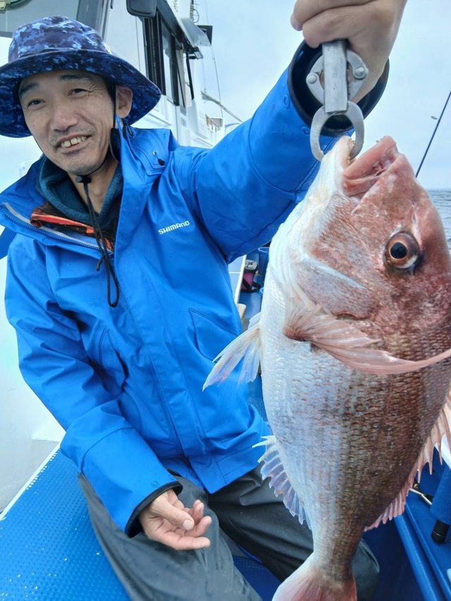 マダイ