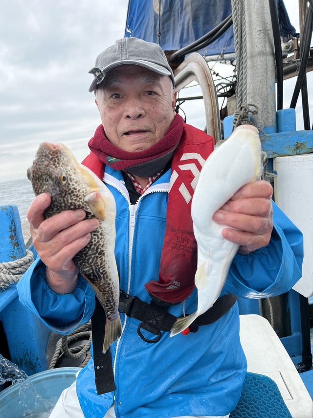 ショウサイフグ