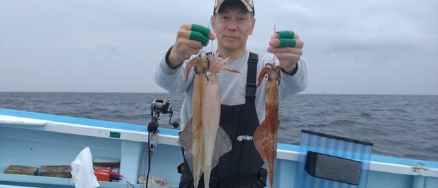 ヤリイカ