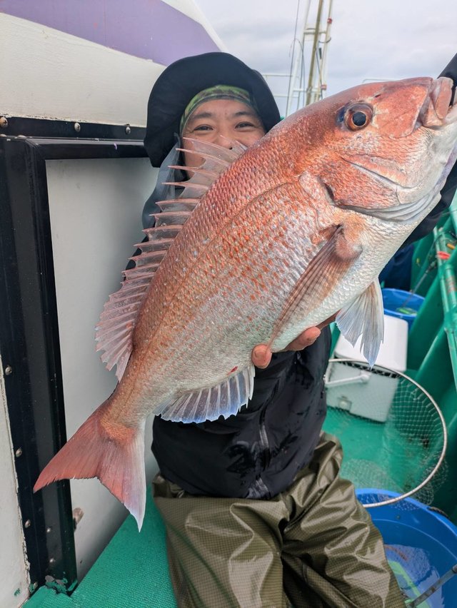 マダイ