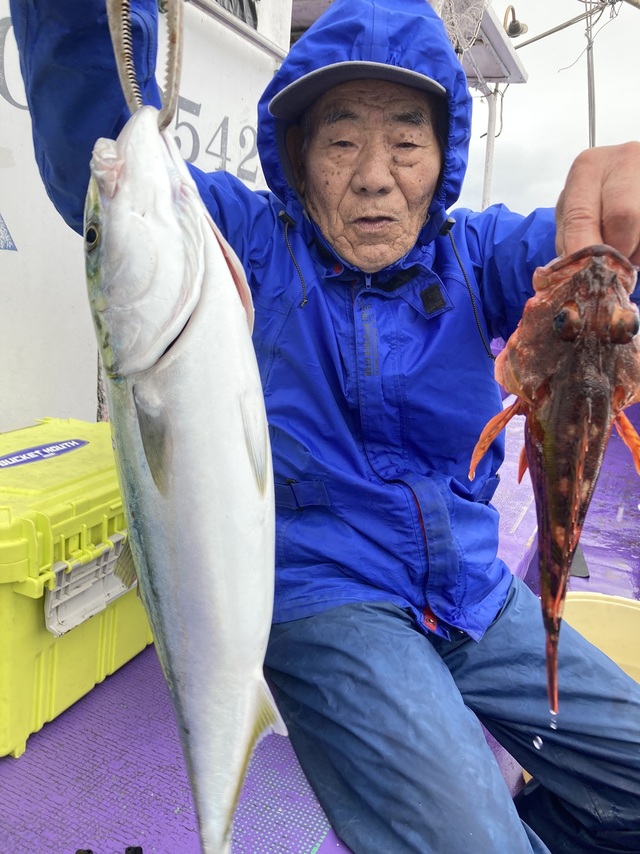イナダ(ブリ)・カサゴ