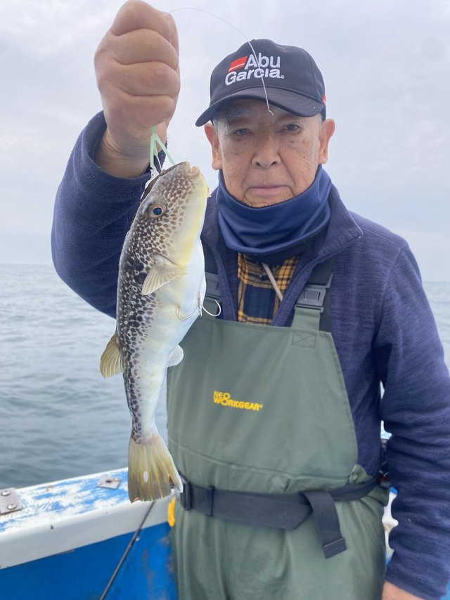 フグ(ショウサイフグ)