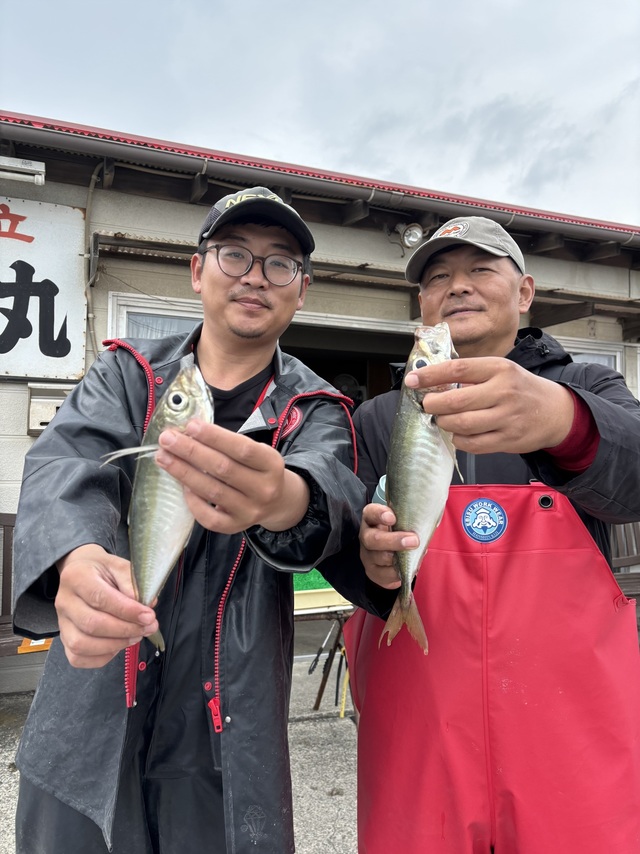 アジ(マアジ)