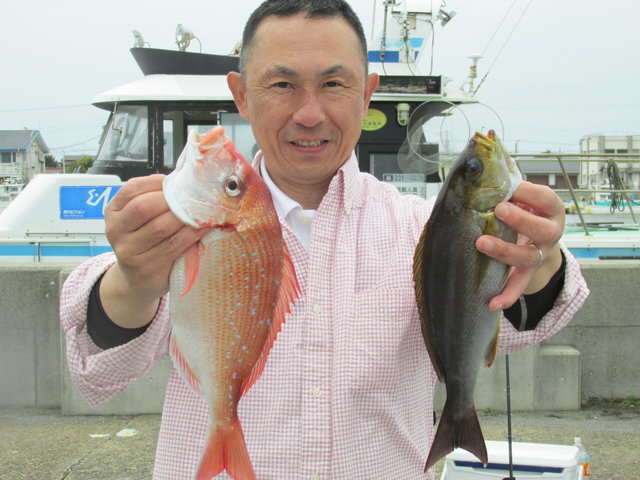 ハナダイ(チダイ)・イサキ