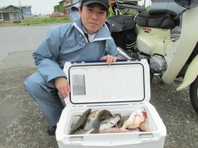 ハナダイ(チダイ)・イサキ