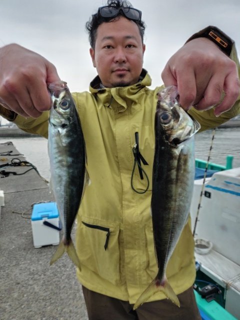 アジ(マアジ)