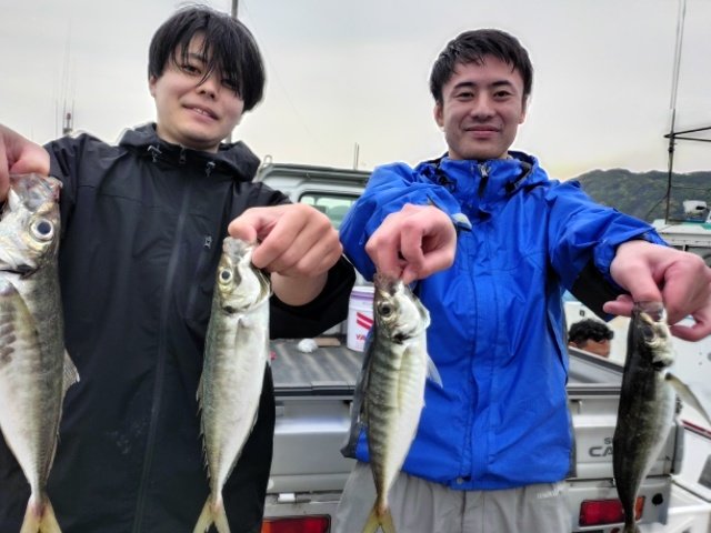 アジ(マアジ)