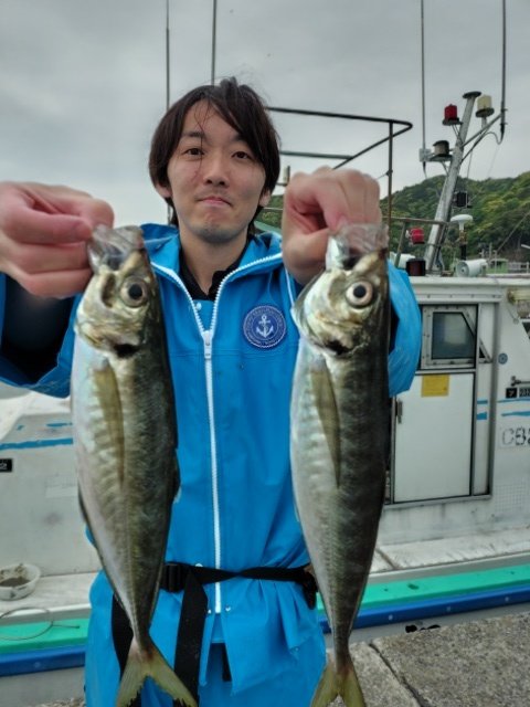 アジ(マアジ)