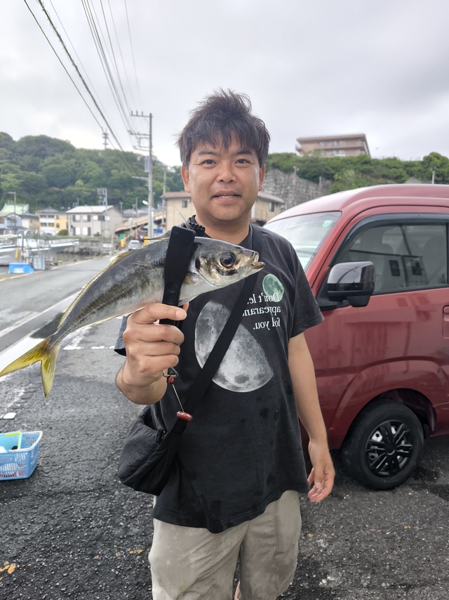 アジ(マアジ)