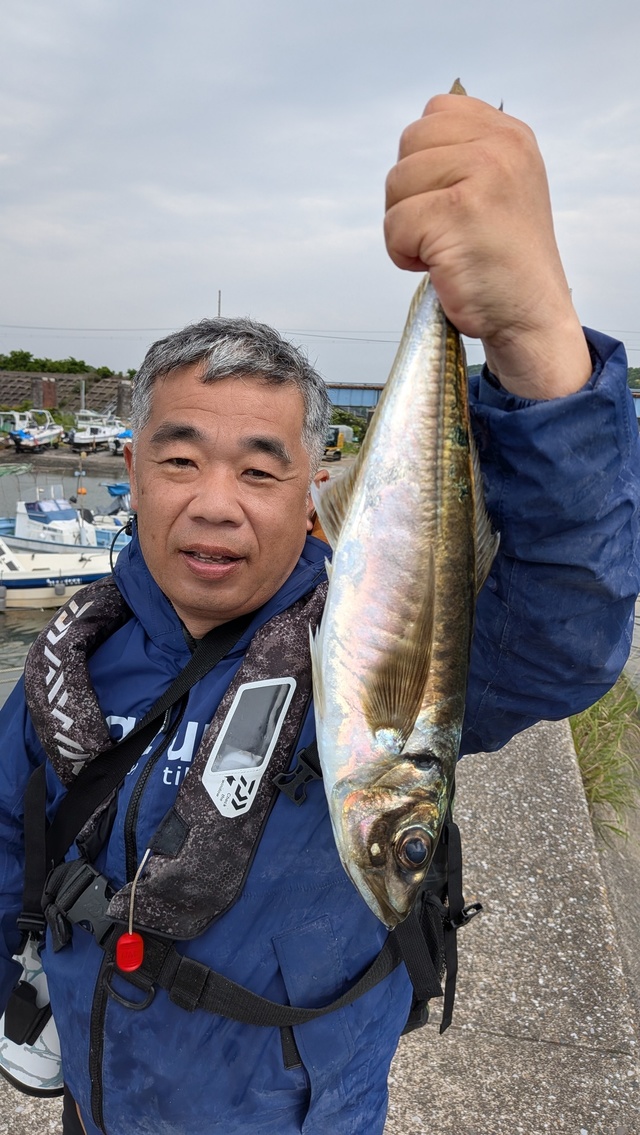 アジ(マアジ)