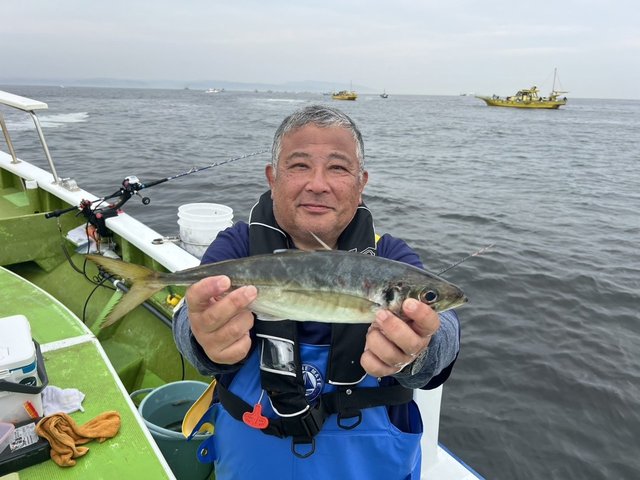 アジ(マアジ)