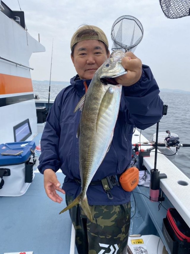 アジ(マアジ)