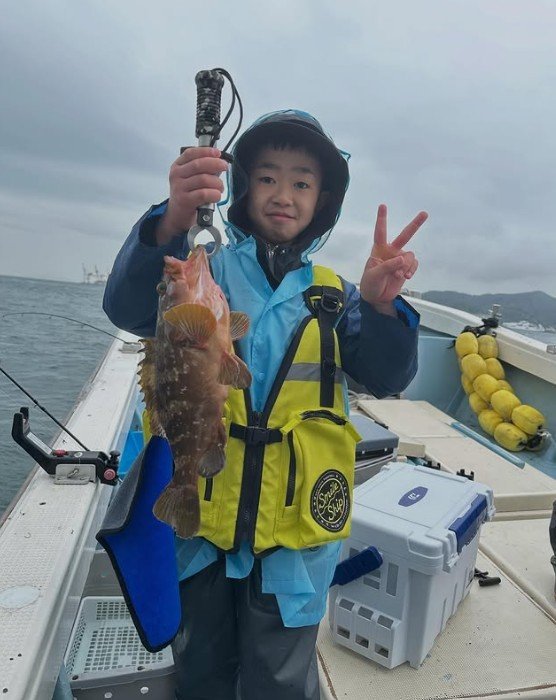 アコウ(キジハタ)