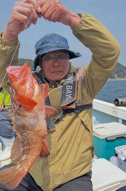 アコウ(キジハタ)