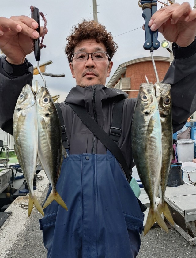 アジ(マアジ)