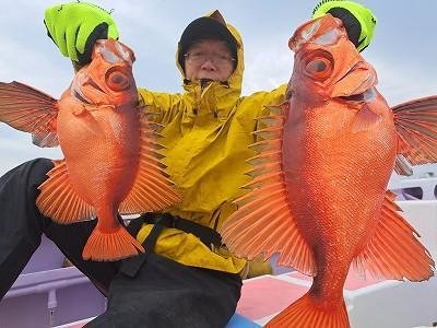 キントキ(チカメキントキ)