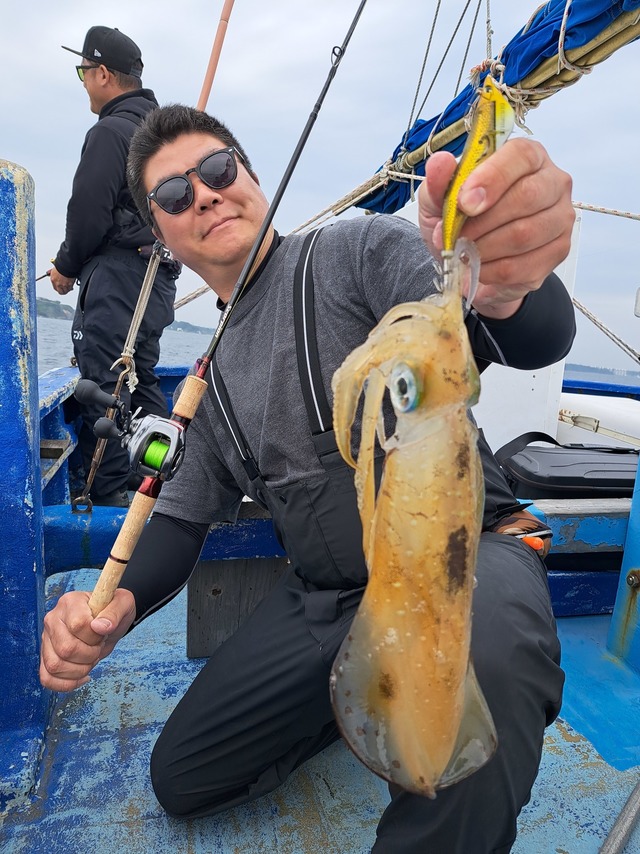 アオリイカ