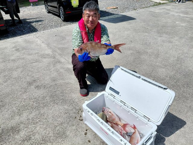 マダイ