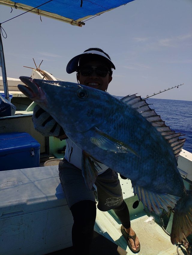 フエフキ(ハマフエフキ)