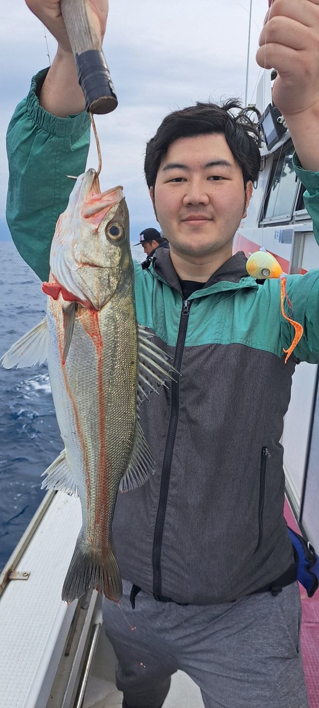 シーバス(スズキ)