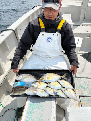 カイワリ