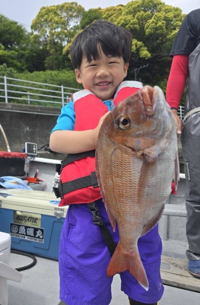 マダイ