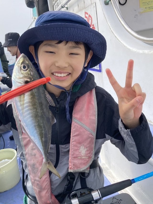 アジ(マアジ)