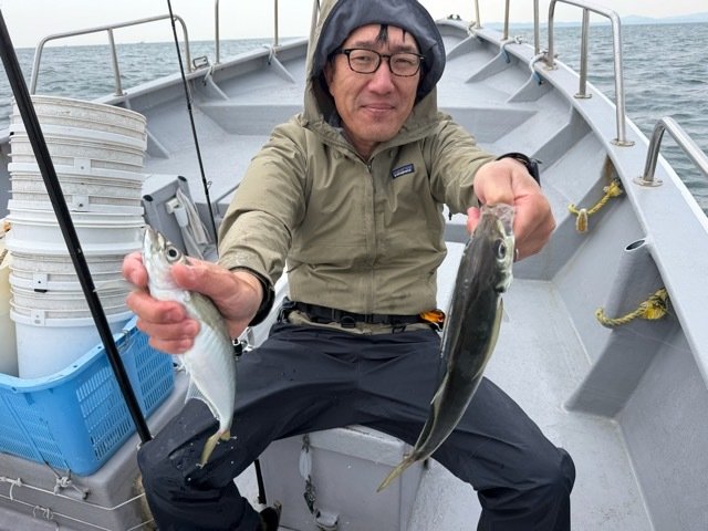 アジ(マアジ)