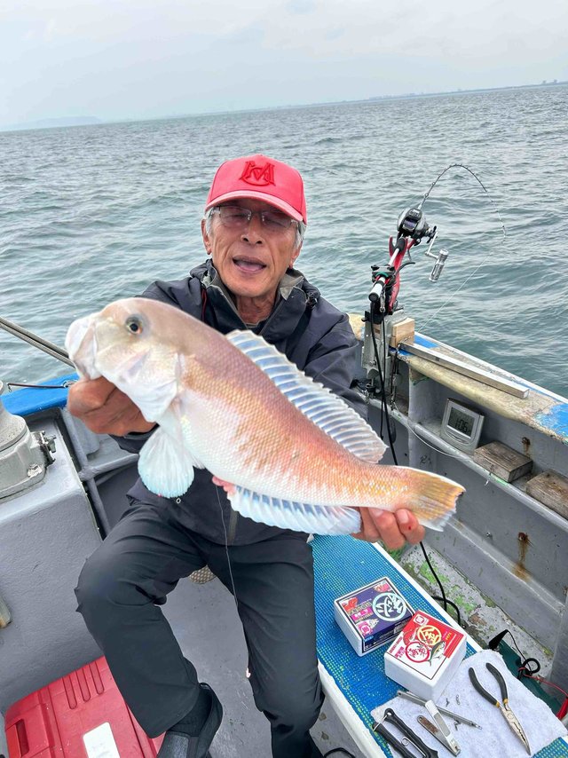 シロアマダイ