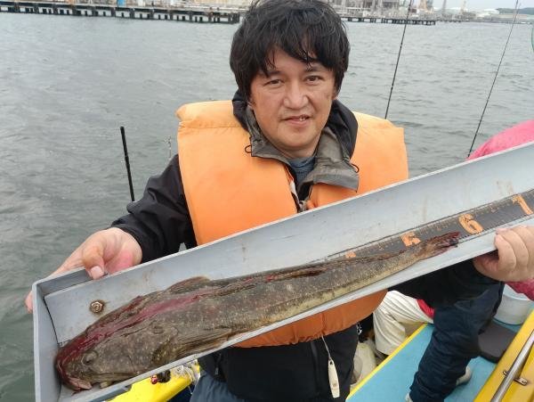マゴチ