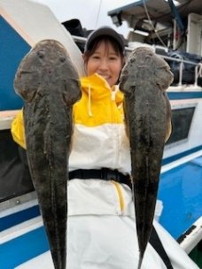 マゴチ