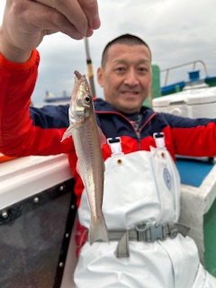 シロギス