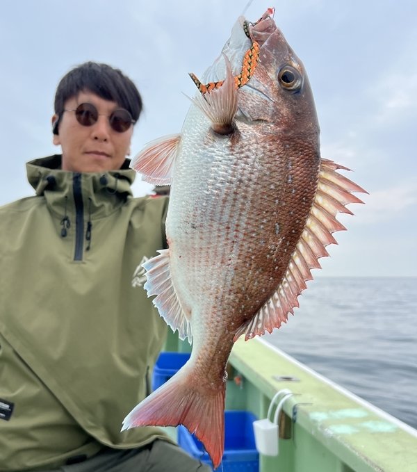 マダイ