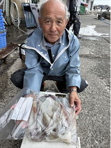 ヤリイカ